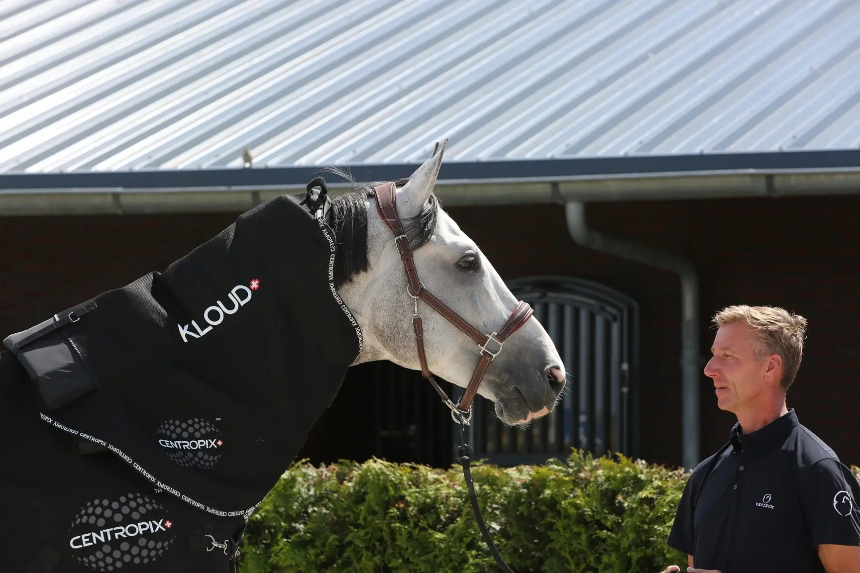 Jur Vrieling met Centropix Kloud, magneetveldtherapie voor mens en paard